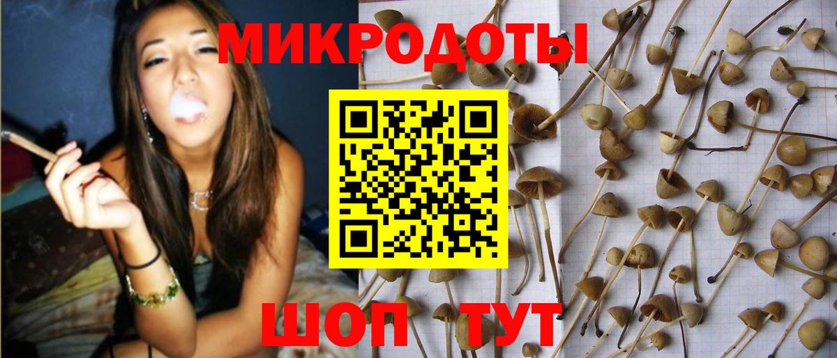 Галлюциногенные грибы MAGIC MUSHROOMS  Вход с VPN  Канаш 